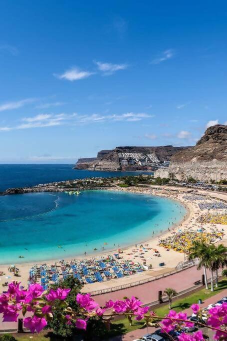Vibe ,Wifi ,Espacio Trabajo,Playa ,Ocio Las Palmas de Gran Canaria Eksteriør billede